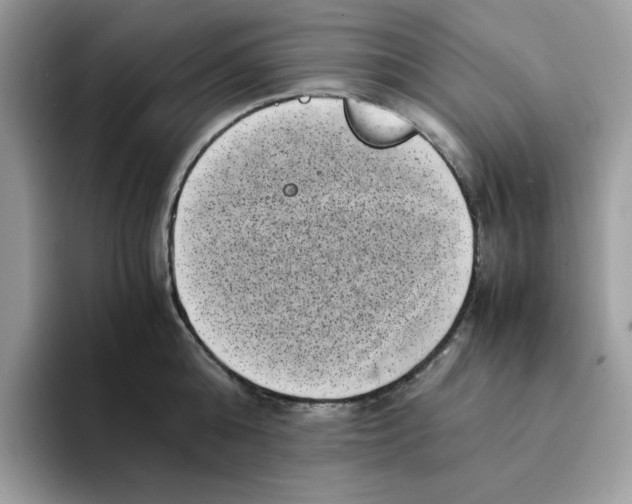 X0000094340808200711301247