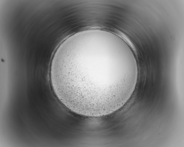 X0000094340810200711301247