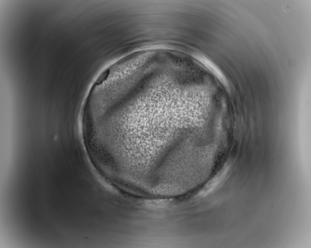 X0000094340813200711301247