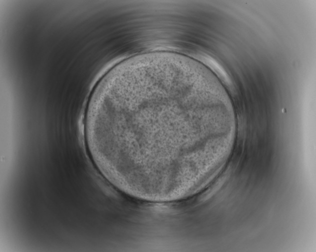 X0000094340814200711301247