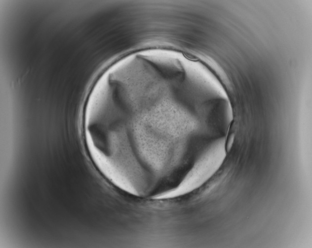 X0000094340815200711301247