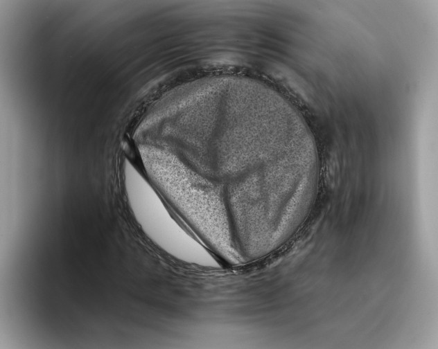 X0000094340821200711301247