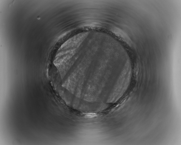 X0000094340822200711301247