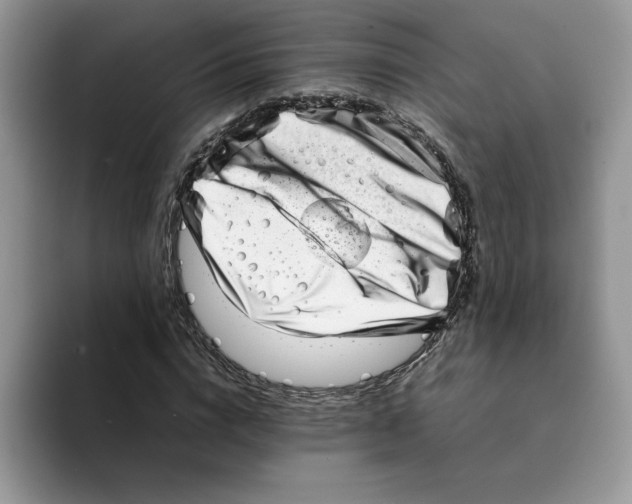 X0000094340824200711301247