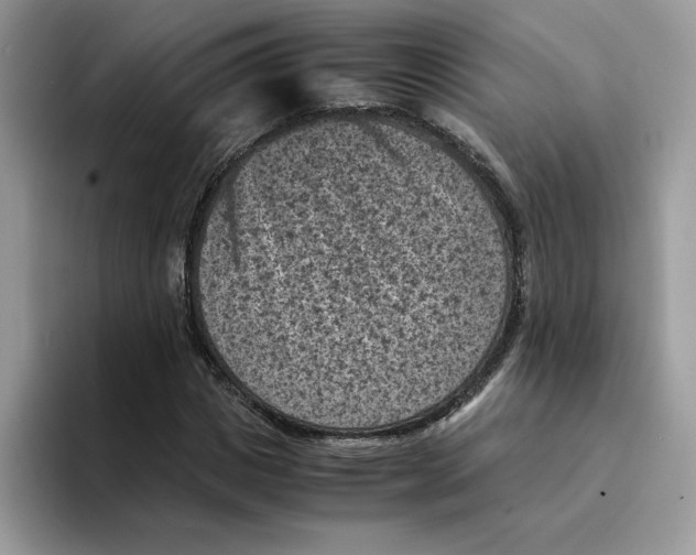 X0000094340825200711301247