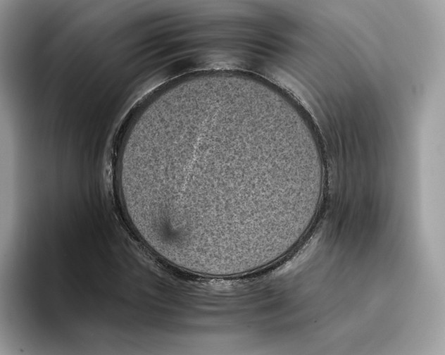 X0000094340827200711301247