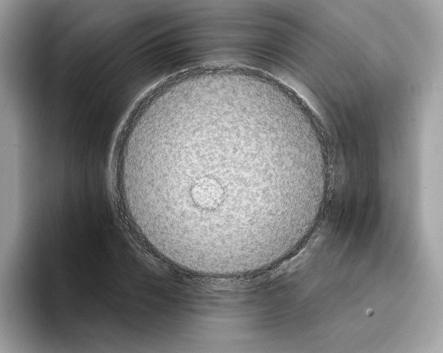 X0000094340832200711301247