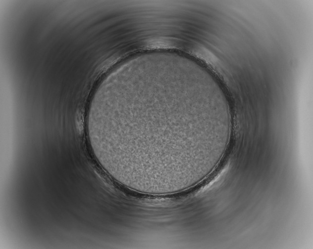 X0000094340833200711301247