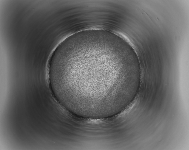 X0000094340835200711301247