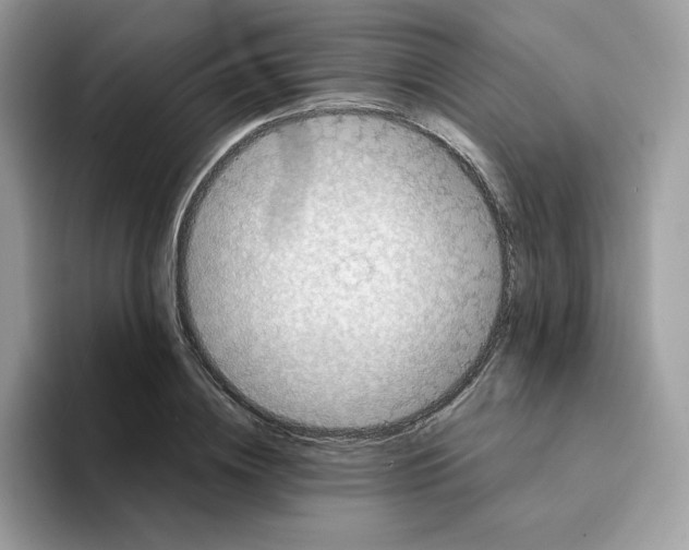 X0000094340836200711301247