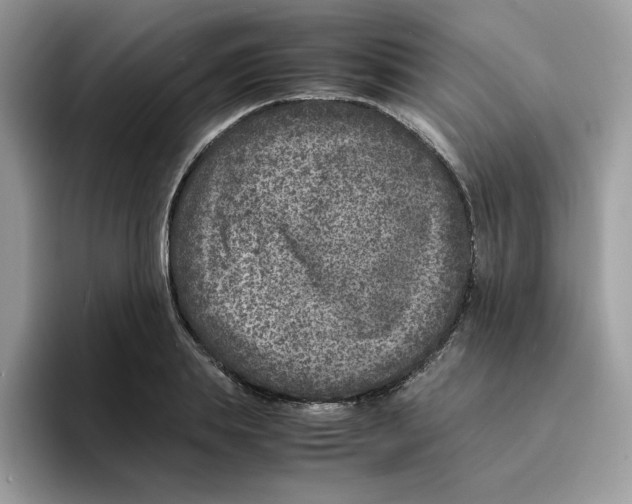 X0000094340839200711301247