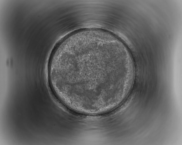 X0000094340840200711301247