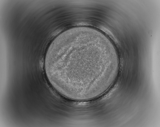 X0000094340841200711301247