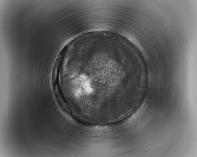 X0000094340842200711301247