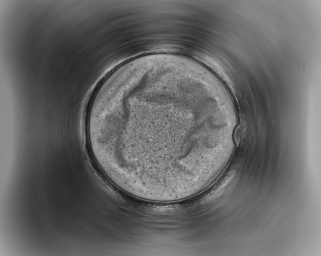 X0000094340843200711301247