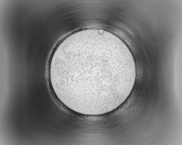 X0000094340848200711301247