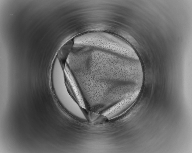 X0000094340850200711301247