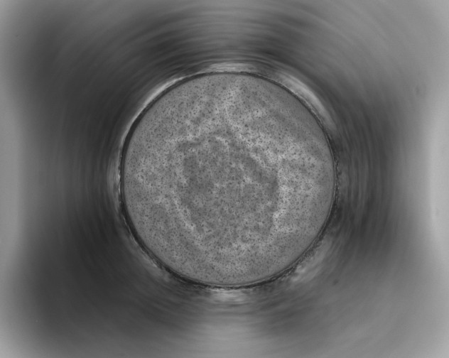 X0000094340852200711301247