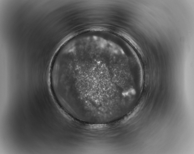 X0000094340853200711301247