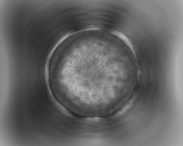 X0000094340859200711301247