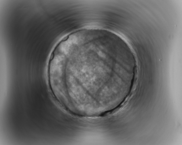 X0000094340864200711301247