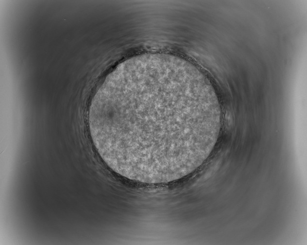 X0000094340865200711301247