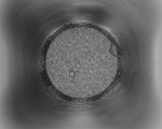 X0000094340871200711301246