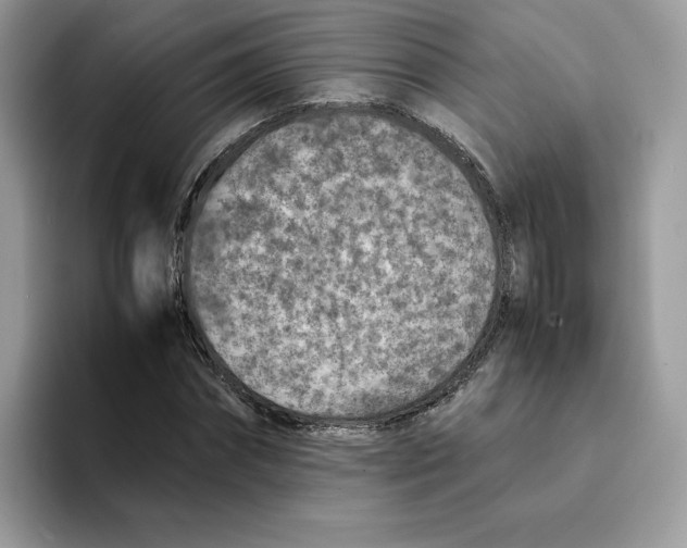 X0000094340874200711301246