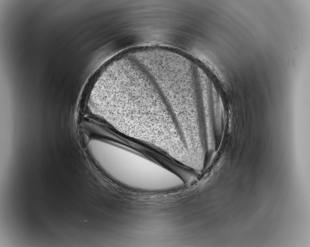 X0000094340876200711301246