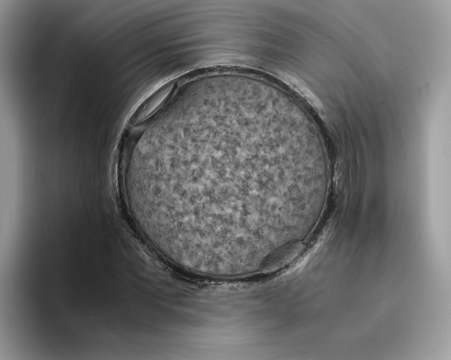 X0000094340877200711301246