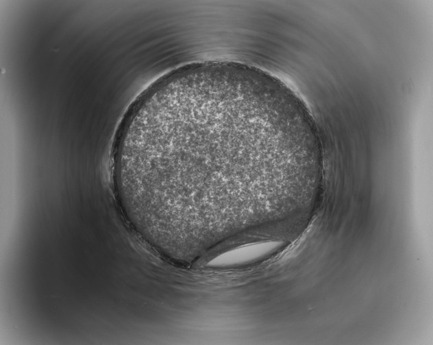 X0000094340879200711301246