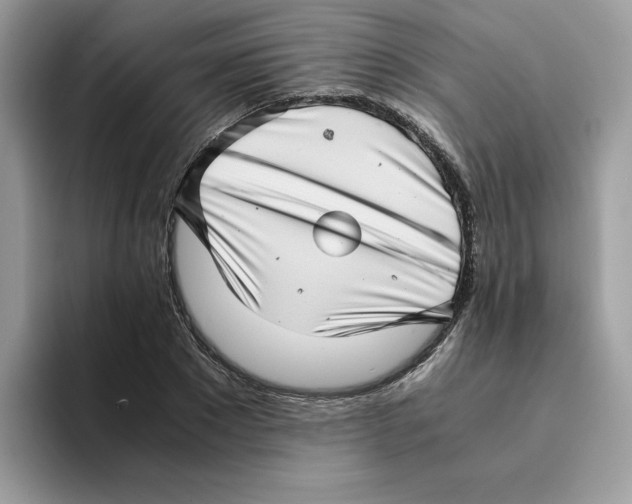 X0000094340881200711301246