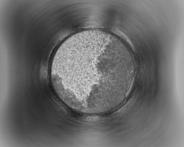 X0000094340882200711301246