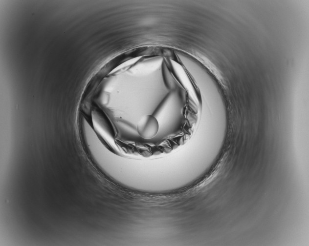 X0000094340885200711301246