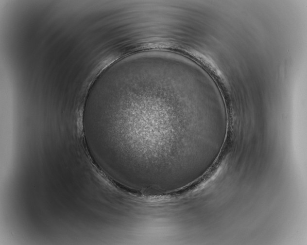 X0000094340889200711301246