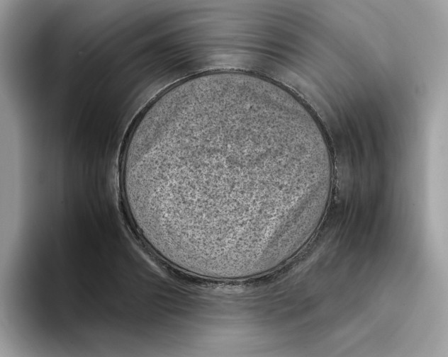 X0000094340890200711301246