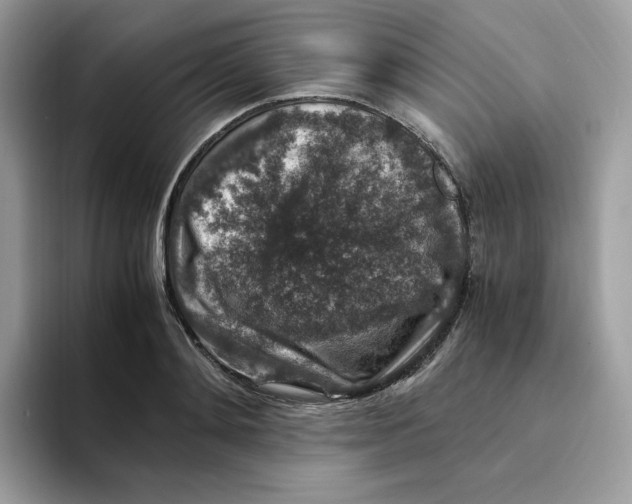 X0000094340892200711301246