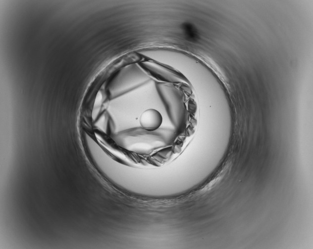 X0000094340893200711301246