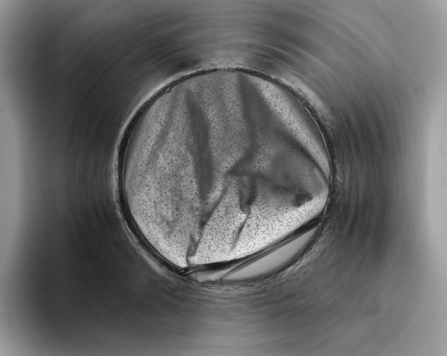 X0000094340894200711301246