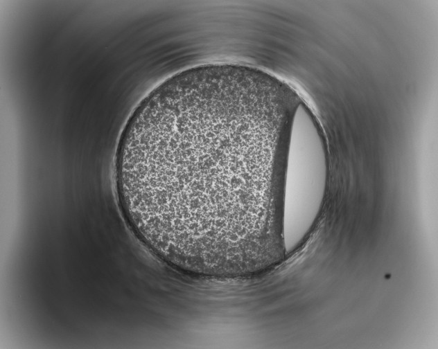 X0000094340895200711301246