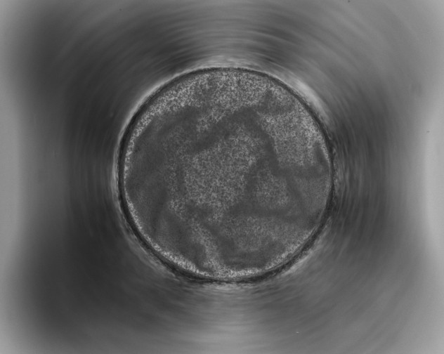 X0000094340896200711301246