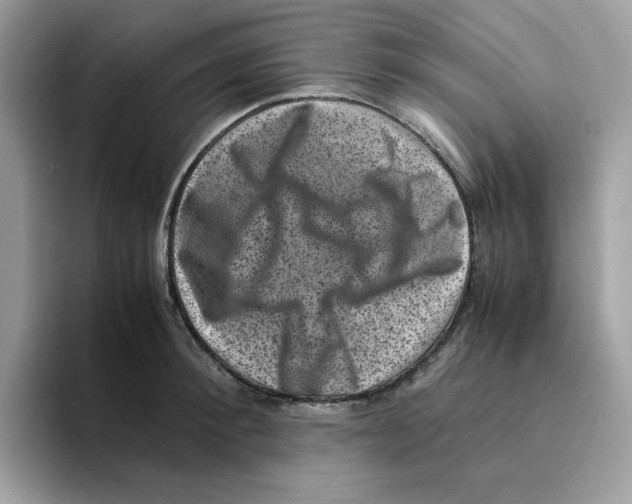 X0000094340900200711301246