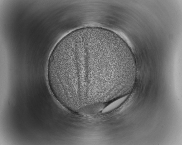 X0000094340903200711301246