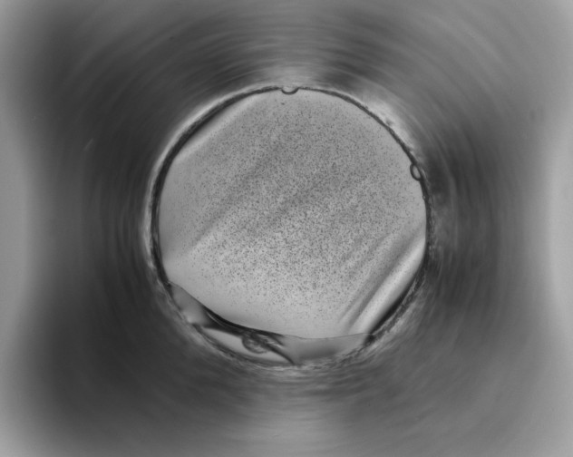 X0000094340904200711301246