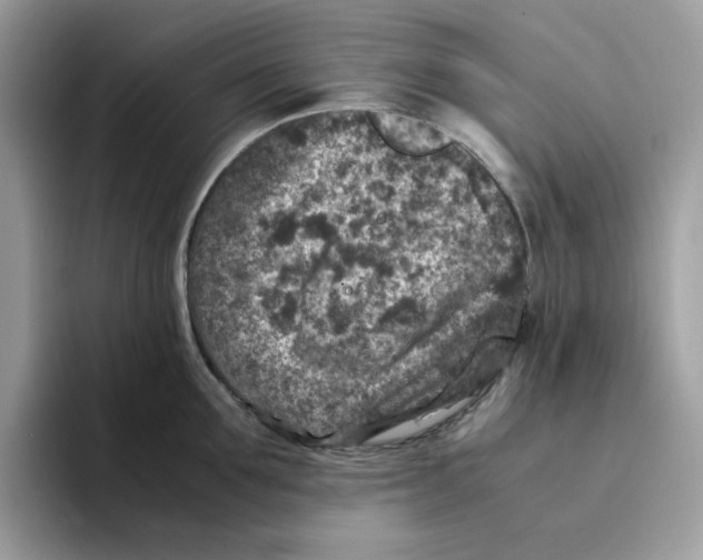 X0000094340907200711301246