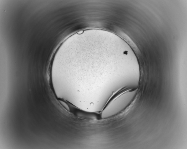 X0000094340908200711301246