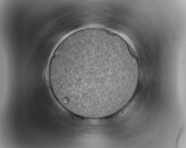 X0000094340911200711301246