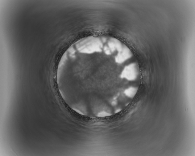 X0000094340913200711301245