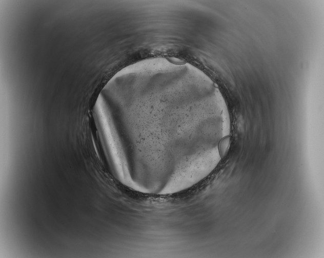 X0000094340914200711301245