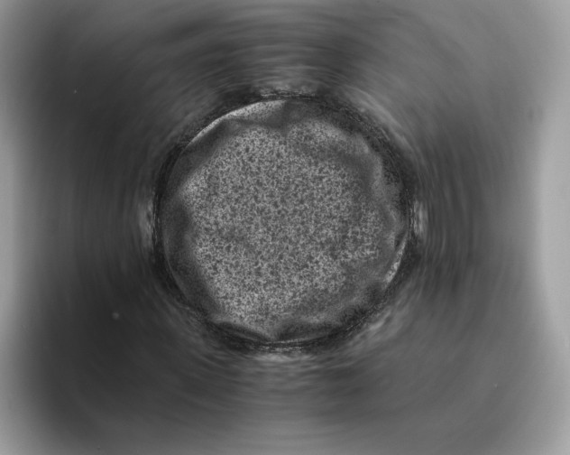 X0000094340915200711301245